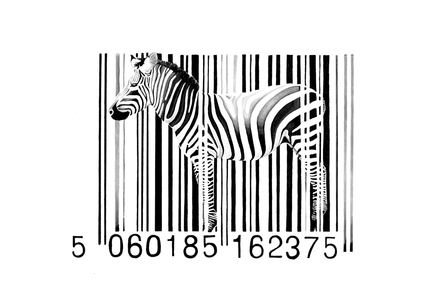 Zebra Barcode